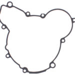 Guarnizione generatore KTM/Husqvarna/GasGas 250-300 2017-2023