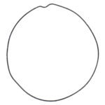 Guarnizione coperchio frizione Beta RR/Xtrainer 250-300