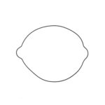 Guarnizione coperchio frizione KTM 250-300 2013-2017