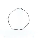 Guarnizione coperchio frizione KTM/Husqvarna/GasGas 250-350 4T (2016-2023)