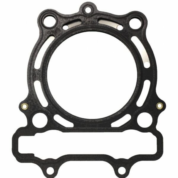 Guarnizione testa SUZUKI RMZ 250