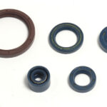 Kit paraoli albero e motore HUSQVARNA 250/450/510 TE/TC 03-10