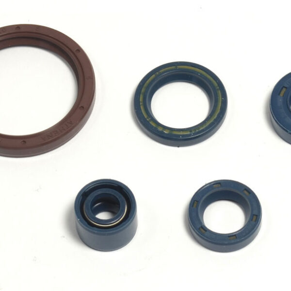 Kit paraoli albero e motore HUSQVARNA 250/450/510 TE/TC 03-10