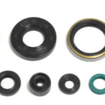 Kit paraoli albero e motore KAWASAKI KX 250 1995-2004