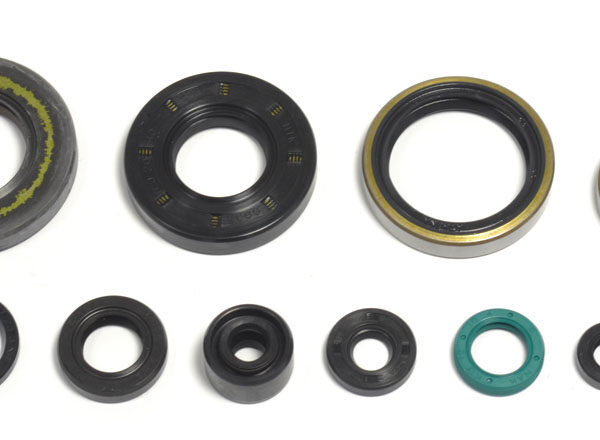 Kit paraoli albero e motore KAWASAKI KX 250 1995-2004