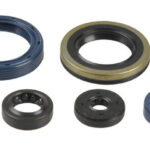 Kit paraoli albero e motore KX 250 F / RMZ 250 2004-2019