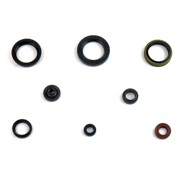 Kit paraoli albero e motore SUZUKI RMZ 450