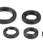 Kit paraoli albero e motore SUZUKI RM 125 1992-2012