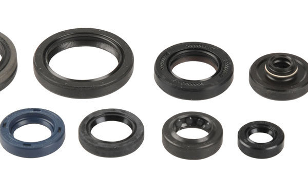 Kit paraoli albero e motore SUZUKI RM 125 1992-2012