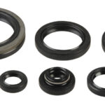 Kit paraoli albero e motore SUZUKI RM 250 1996-2002