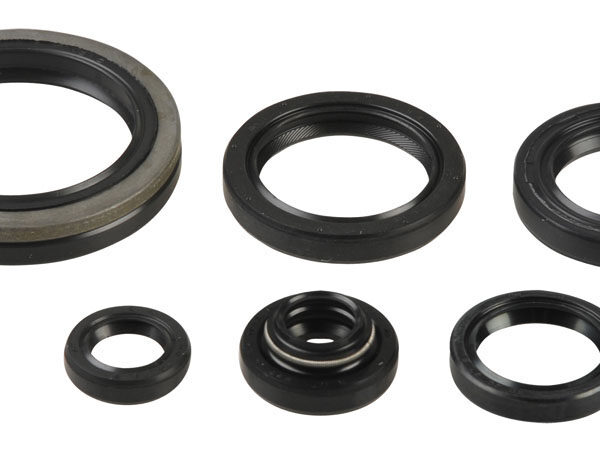 Kit paraoli albero e motore SUZUKI RM 250 1996-2002