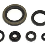 Kit paraoli albero e motore SUZUKI RM 250 1993-1995