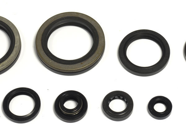Kit paraoli albero e motore SUZUKI RM 250 1993-1995