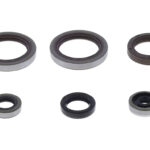 Kit paraoli albero e motore BETA RR 125 2T