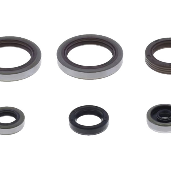 Kit paraoli albero e motore BETA RR 125 2T