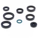 Kit paraoli albero e motore TM EN/MX 125 2015-2024