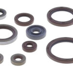 Kit paraoli albero e motore BETA RR 350/390