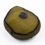 Coprifiltro MARCHALD - Anti-acqua - CRF / EXC / TM / Sherco