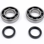 Kit cuscinetti e paraoli albero motore KAWASAKI KX 250 F