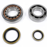 Kit cuscinetti albero e paraoli - KTM/Husqvarna/GasGas 250/300
