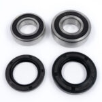 Kit cuscinetti ruota posteriore PROX - YZ / WR / Fantic