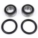 Kit cuscinetti ruota post. PROX - TM EN 125/250/300/450 1996-2004