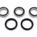 Kit cuscinetti ruota post. PROX - TM EN / MX 125-450 FI