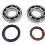 Kit cuscinetti e paraoli albero motore BETA RR 350-450 4T