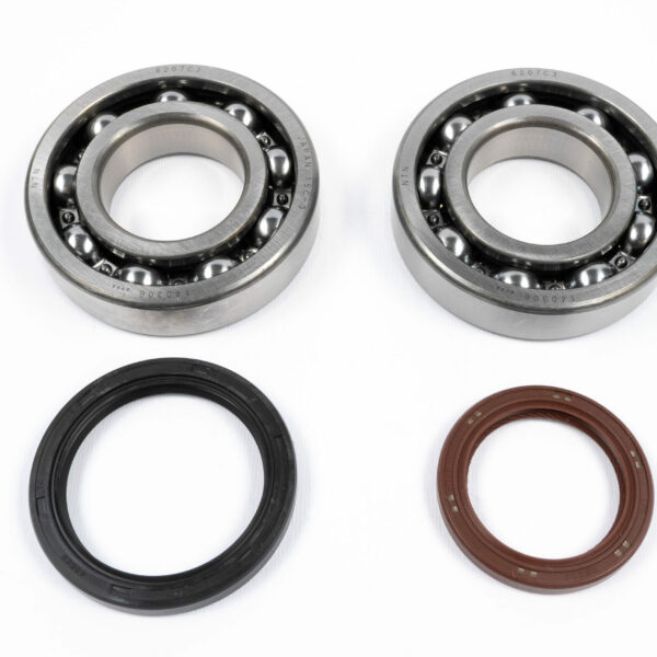 Kit cuscinetti e paraoli albero motore BETA RR 350-450 4T