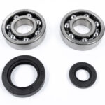 Kit cuscinetti e paraoli albero motore HONDA CR 250 (1992-2007)
