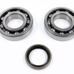Kit cuscinetti e paraoli albero motore RMZ 250 / KX 250 F 2004-2020