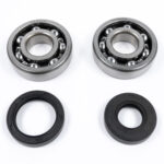 Kit cuscinetti e paraoli albero motore KAWASAKI KX 125 (1988-2008)