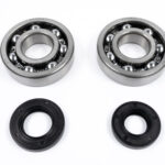 Kit cuscinetti e paraoli albero motore KAWASAKI KX 250 (1987-2001)