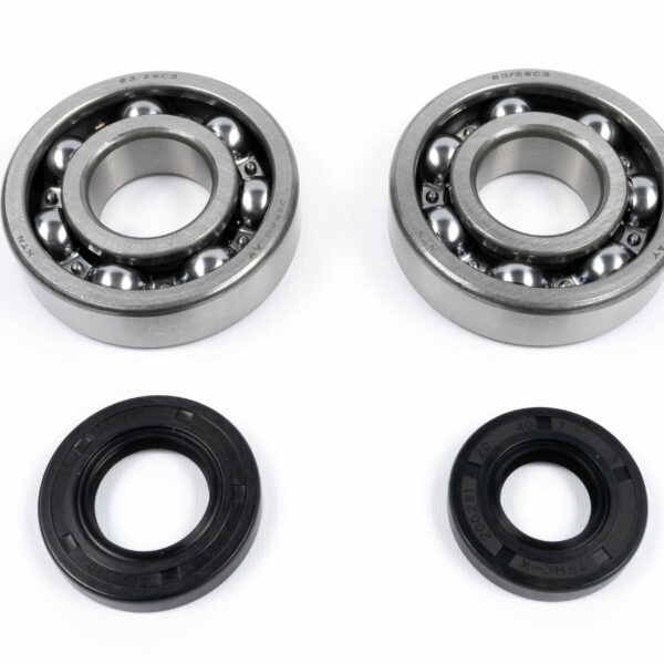 Kit cuscinetti e paraoli albero motore KAWASAKI KX 250 (1987-2001)