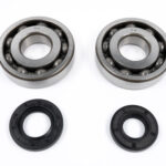 Kit cuscinetti e paraoli albero motore KAWASAKI KX 250 (2003-2008)
