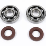 Kit cuscinetti e paraoli albero motore KTM 65 SX (1998-2008)