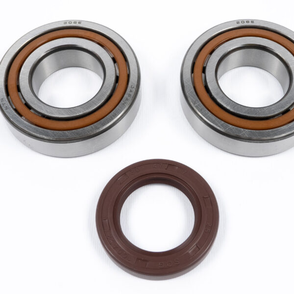 Kit cuscinetti e paraoli albero motore KTM / BETA RR 250-560 4T (2000-2009)