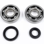 Kit cuscinetti e paraoli albero motore SUZUKI RM 125 (1989-2012)