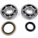 Kit cuscinetti e paraoli albero motore SUZUKI RM 250 (1996-2002)