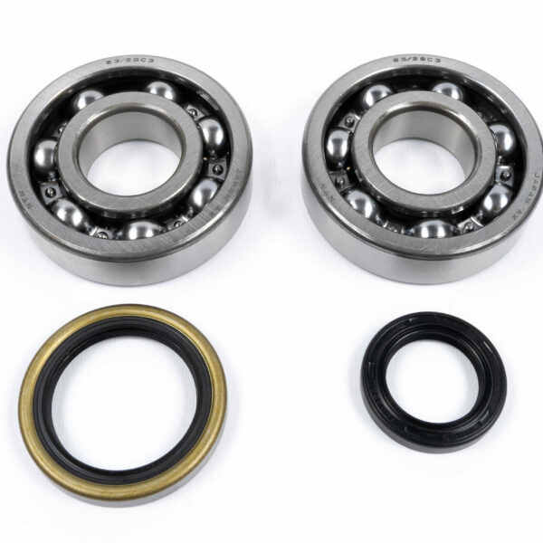 Kit cuscinetti e paraoli albero motore SUZUKI RM 250 (1996-2002)