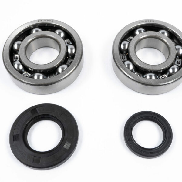 Kit cuscinetti e paraoli albero motore SUZUKI RM 250 (2003-2004)