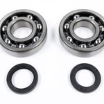 Kit cuscinetti e paraoli albero motore SUZUKI RM 250 (2005-2012)