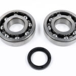 Kit cuscinetti e paraoli albero motore SUZUKI RM-Z 450 (2005-2007)