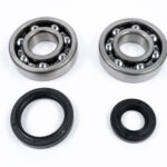 Kit cuscinetti e paraoli albero motore YAMAHA YZ 250 (1988-1997)