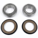 Kit cuscinetti sterzo BWX - Honda CR 125/250 - CR 500 1990-2001