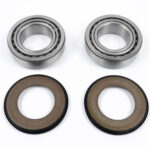Kit cuscinetti sterzo BWX - TM EN 125/250/300 1998-2001