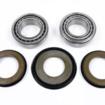 Kit cuscinetti sterzo BWX - Yamaha YZ/WR + Fantic