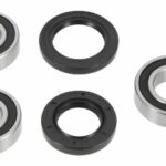 Kit cuscinetti ruota posteriore BWX - GAS GAS EC 125/250/300 2003-2019, RIEJU MR 250/300