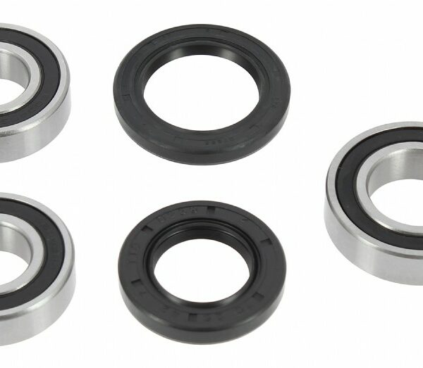 Kit cuscinetti ruota posteriore BWX - GAS GAS EC 125/250/300 2003-2019, RIEJU MR 250/300