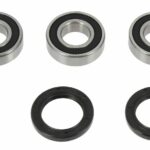 Kit cuscinetti ruota posteriore BWX - Suzuki RM 125-250 1995-1999